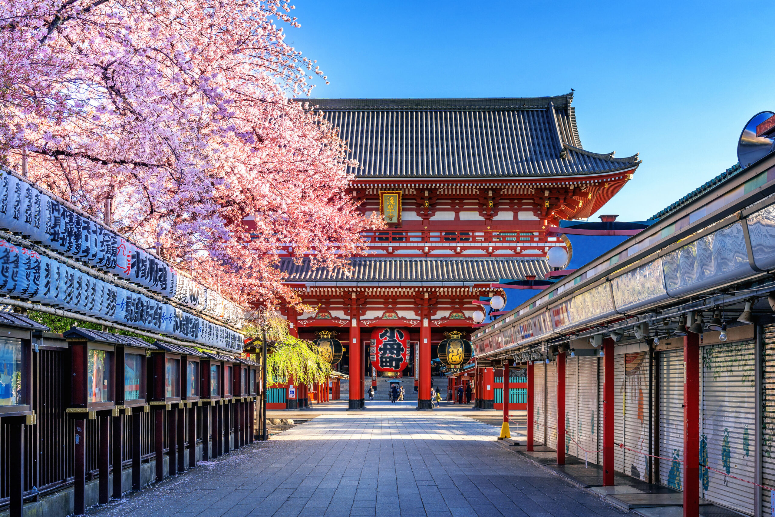 fazer intercâmbio para o japão