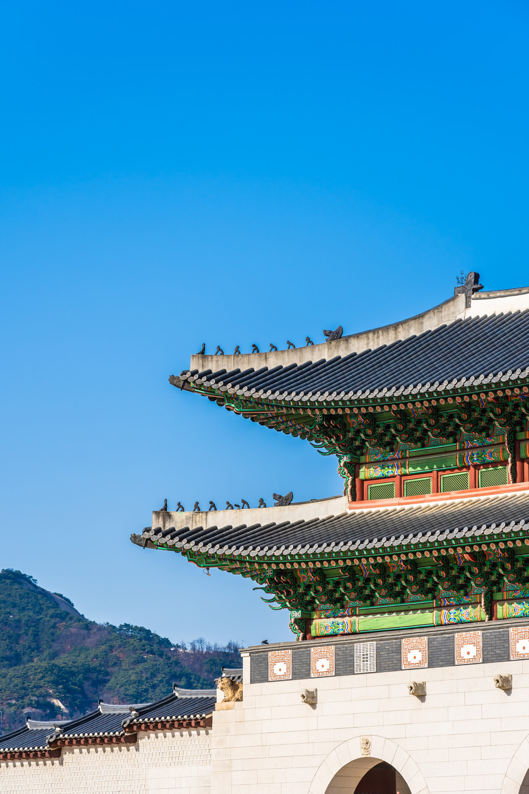 visitar a coreia do sul estudando