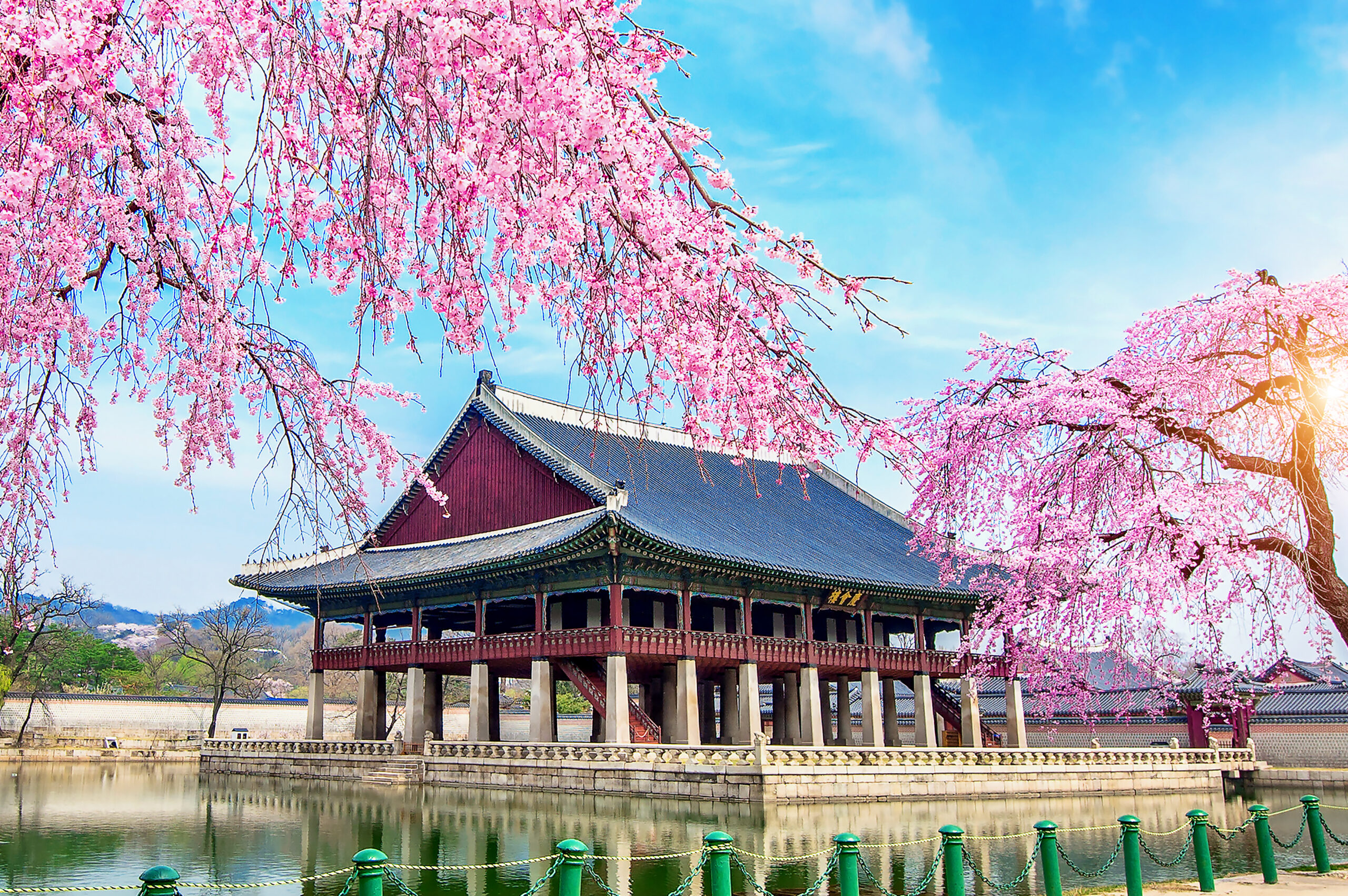 intercâmbio de estudo na coreia do sul
