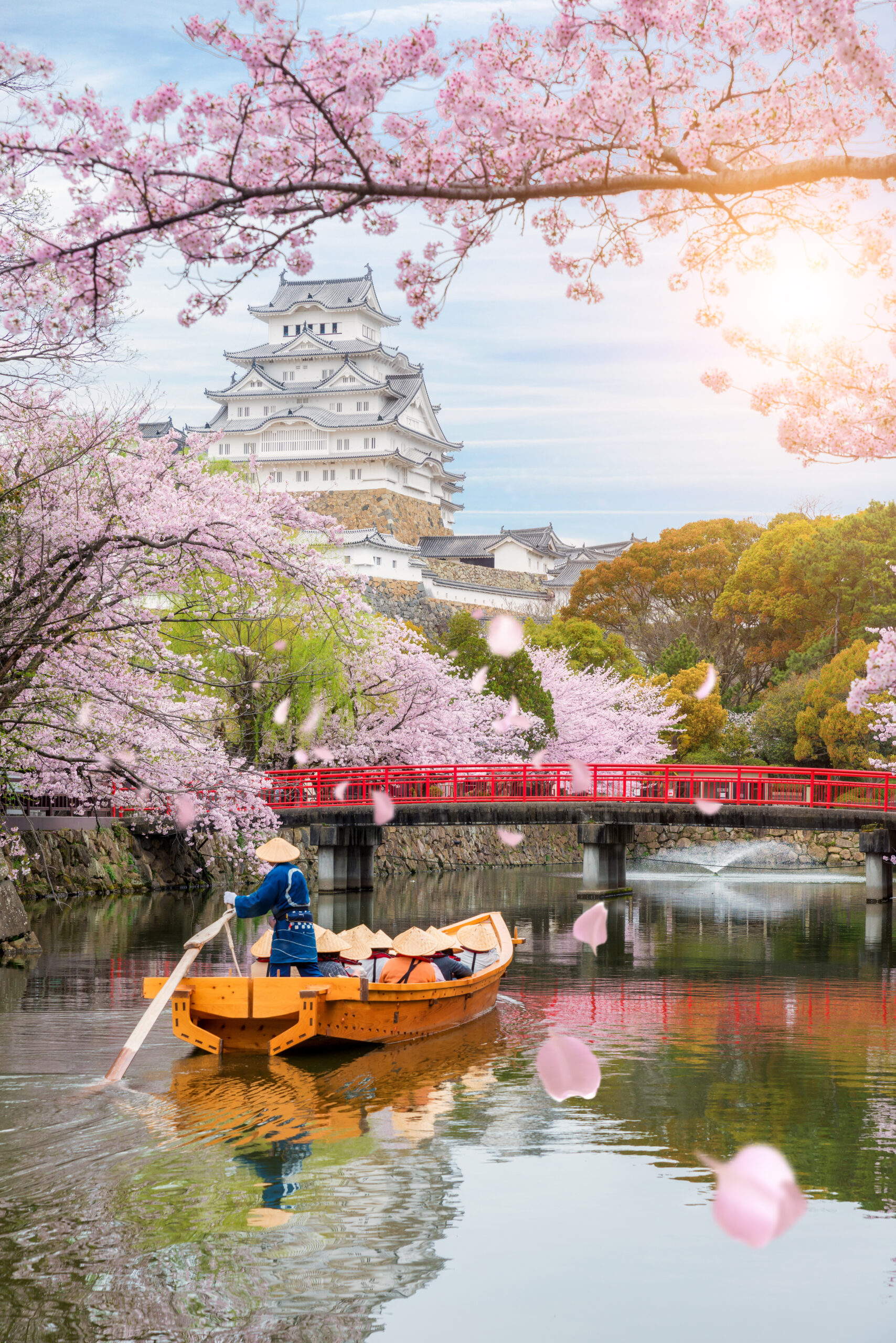 como ir estudar no japão