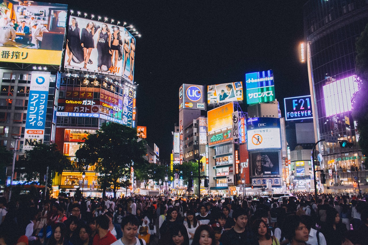 cultura japonesa para intercambistas